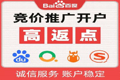 竞价推广策略：某电商平台的成功之路